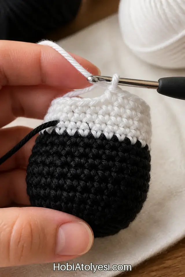 Renk geçişi yakın plan, beyaz kontrast yüz için ip değişimi gösteriliyor